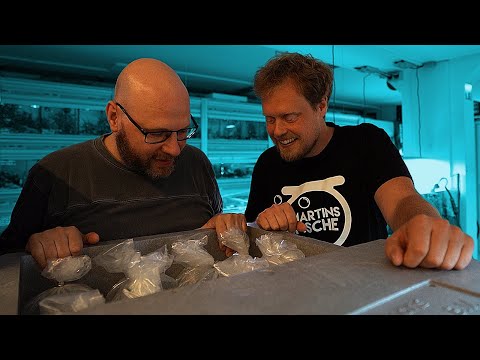 XXL Aquarium Fisch Unboxing mit Martins Fische auspacken