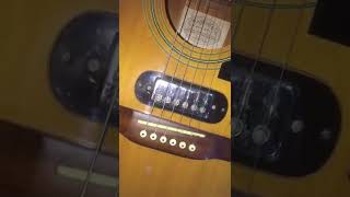 Stafford Snippet