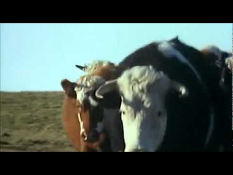 Jesus Christ! Fenton The Dog Kills Sean Bean