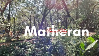 Matheran Hill Station | Complete information | 2024 |Toy Train | Hotels Restaurant Tourist points⛰️