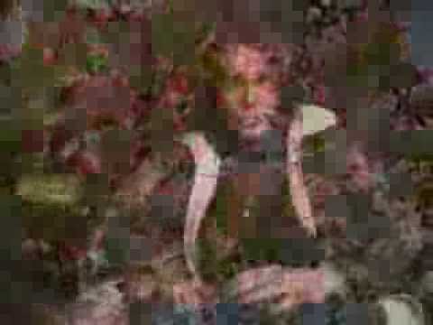 Nowruz Greetings from SAGHEZ