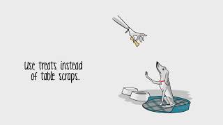 Doggie Bags Are Not For Dogs. People Food ≠ Dog Food