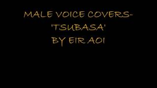 Male Voice-Tsubasa by Eir Aoi