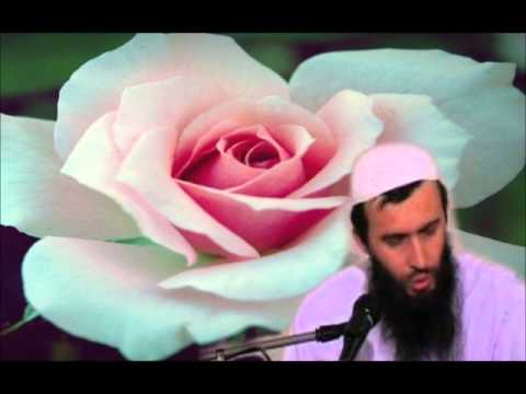 Novotarije - Hajrudin ahmetovic.wmv