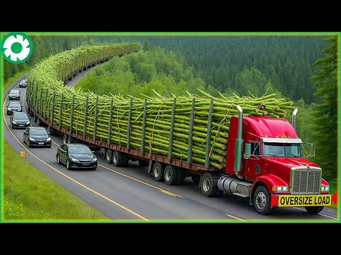 111 Jaw-Dropping Most Dangerous Transport Skills | Biggest Heavy Machinery Machines - The Engine