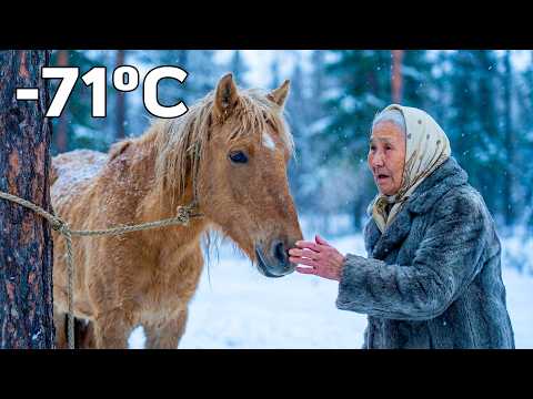 Sie fand ein Pferd, angebunden an einen Baum, um in -71°C zu erfrieren 🐴