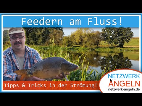 Feederangeln am Fluss - Tipps & Tricks