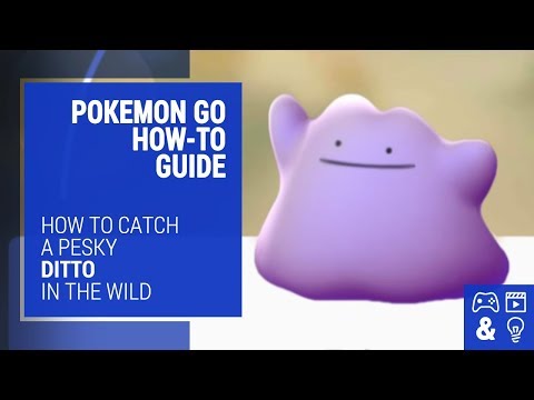 download lagu mp3 mp4 Pokemon Go Tips On Catching Ditto, download lagu Pokemon Go Tips On Catching Ditto gratis, unduh video klip Pokemon Go Tips On Catching Ditto