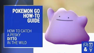 How to Catch Ditto in Pokemon Go - How-To Guide and Tips