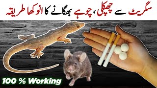 Ghar Se Chipkali Bhagane Ka Tarika | How To Get Rid Of Lizards At Home | Tips And Tricks