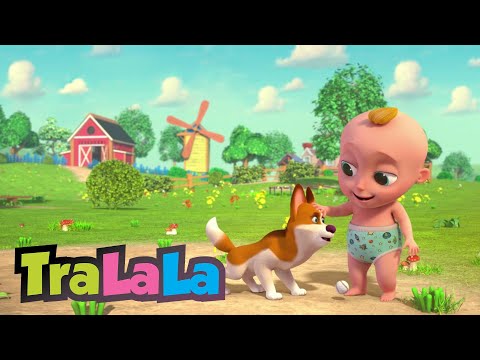 Cățelul BINGO 🐶 Melodii Educative - Cântecele pentru Copii de la TraLaLa