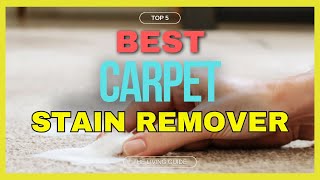 🔥 Best Stain Remover for Carpets in 2024 ☑️ TOP 5 ☑️