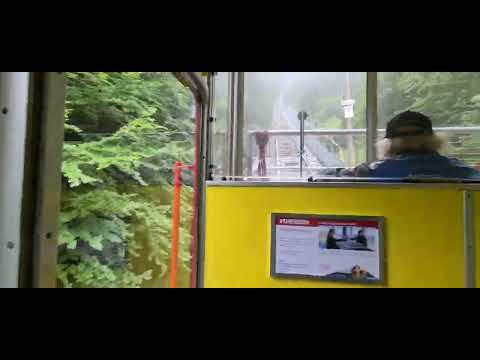 Niesen Bahn very beautiful places covered with clouds ....(5)