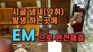 시골 악취제거 E.M하나면 끝! 시골생활 E.M 활용법