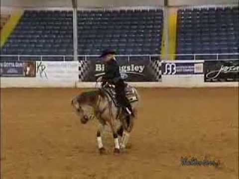 DUNIT THE GUNNER WAY