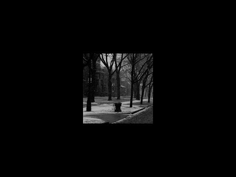 MNMT Premiere: Altstadt Echo – Miracles And Dust