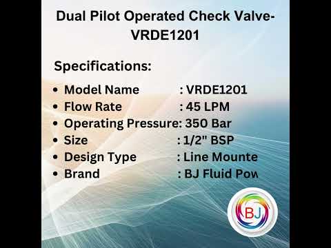 Dual pilot operated check valve-vrde1201-1/2