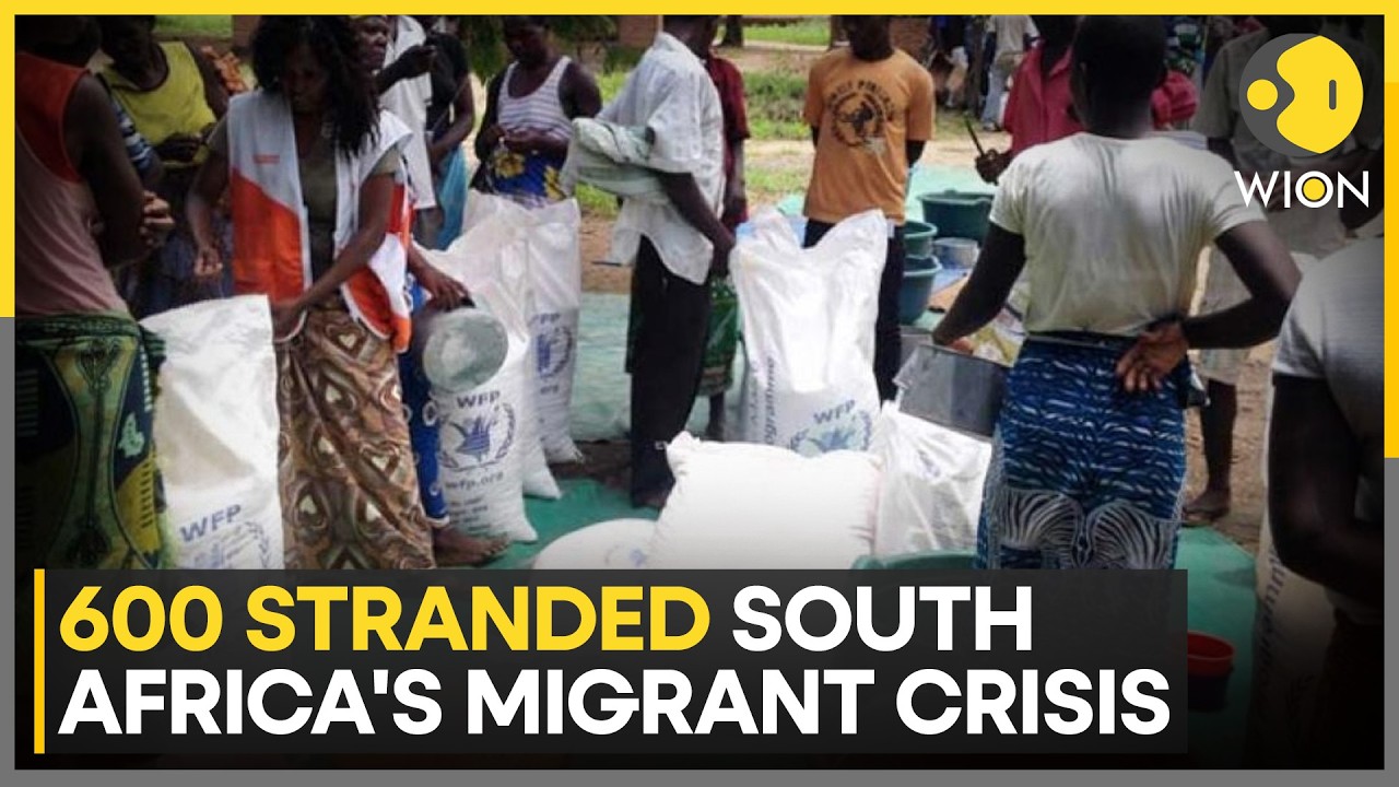 South Africa: 600 Migrants Left in Limbo as Crisis Deepens | WION News