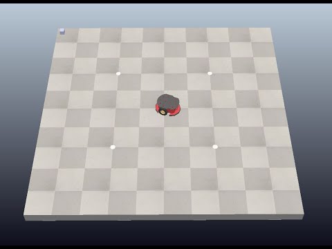 Pioneer Position Control Demo