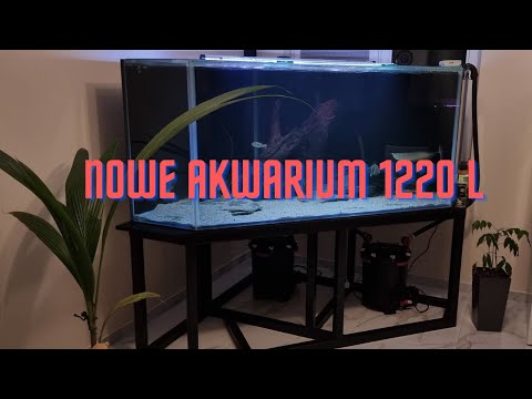 Akwarium 1220 L opti-white jakie ryby i aranżacja