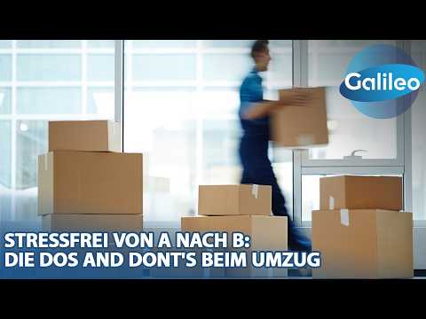 Stressfrei umziehen: Profi-Tipps für den perfekten Umzug!
