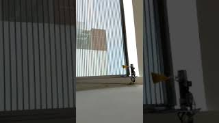 Miniatura del video
