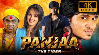 Panjaa The Tiger