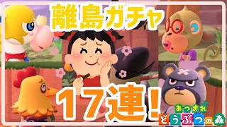 離島ガチャ17連で美女を勧誘しました【あつまれどうぶつの森】【実況】