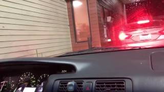 A BITCH GOT BED BUGS 🐜