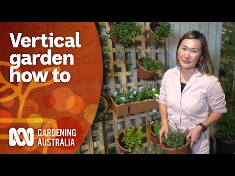 How to create a vertical wall garden to maximise space | Garden Design | Gardening Australia