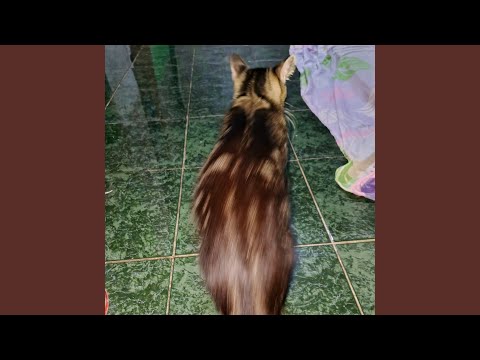 Drop mengejar setoran