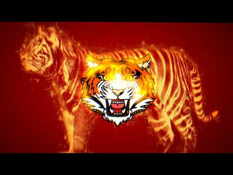 [Hard Psy ]☣ Dany BPM - Bass Louder.