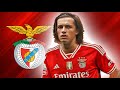 ALVARO FERNANDEZ | Welcome To Benfica 2024 🔴⚪ Magic Skills, Goals, Tackles & Passes (HD)