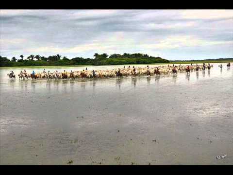 FG  LLano Incomparable - Francisco Montoya