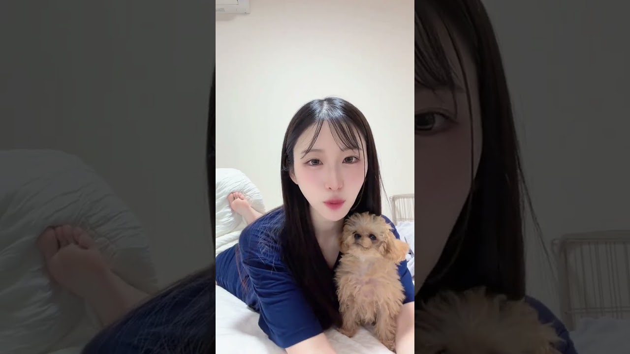 これなに？#shorts