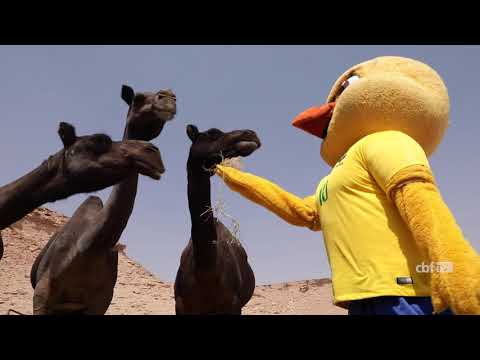 ROLEZINHO do CANARINHO em RIADE, capital da ARÁBIA SAUDITA