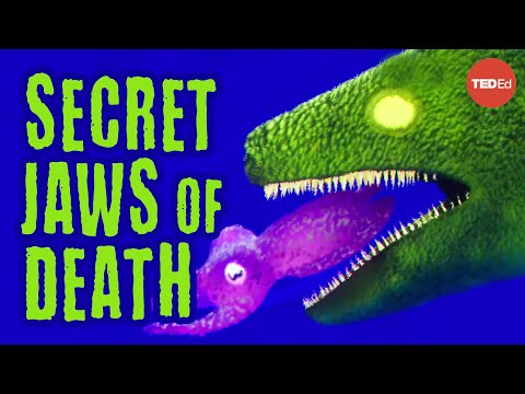 What you can do with an extra jaw - Darien Satterfield