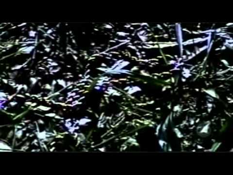 Cold Case - S1Ep6 - The Murder of Paige Pratt.wmv