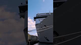 ❌ MSC Cruise DO NOT Book Bella Without Knowing THIS! (The Cabin Gamble) #shorts