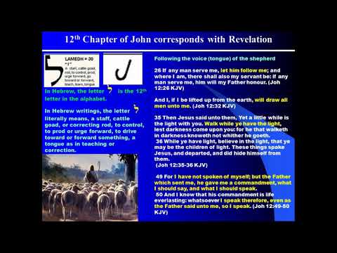 12. Hebrew Letter Lamed and Biblical Connections to John's Writings
