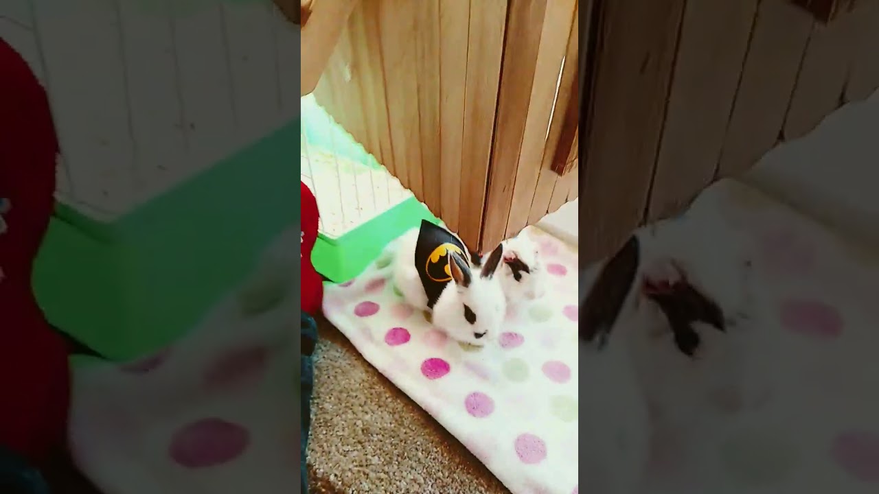 23 de octubre de 2022