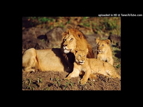 AGARRATE A MI MARIA(MERENGE)