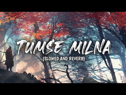 Tumse Milna (Slowed and Reverb) SAR Music's