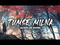 Tumse Milna Slowed And Reverb SAR Music S