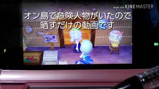 ｢とび森｣訳の分からないこと言う奴を晒すだけのクソ動画・・・