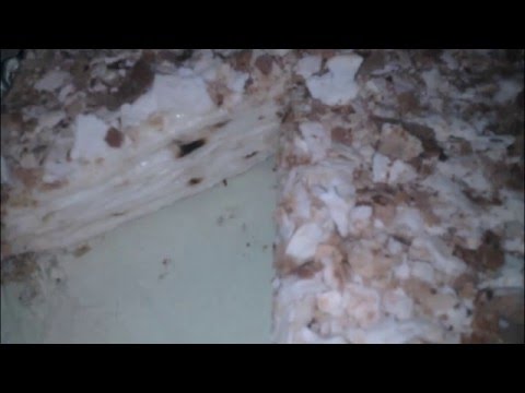 Торт Наполеон на пиве