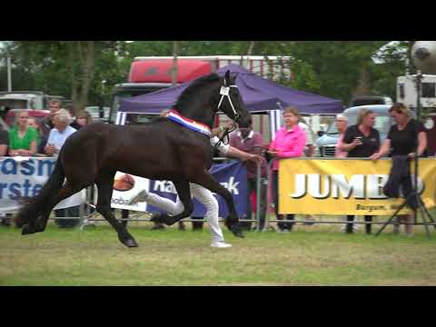 Kampioen Fokdag Ta it Bihald  2019 Barran fan it Waad (Jehannes 484)