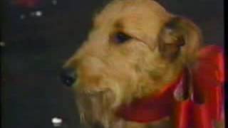 Macy's Thanksgiving Day Parade 1992