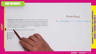 Em Qual Grupo De Organismos Ocorre Essa Transição