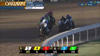 Mockingbird Stakes 1/13/24